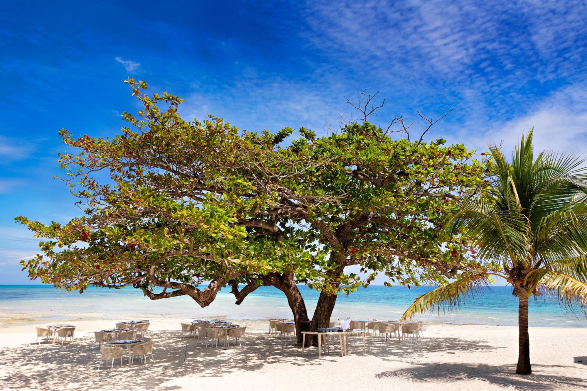 מלון Bawe Island Zanzibar מראה חיצוני תמונה